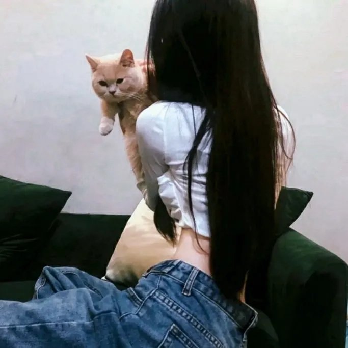 动物界